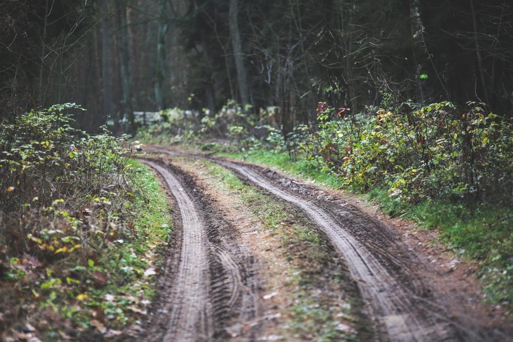 pedelec mountainbike